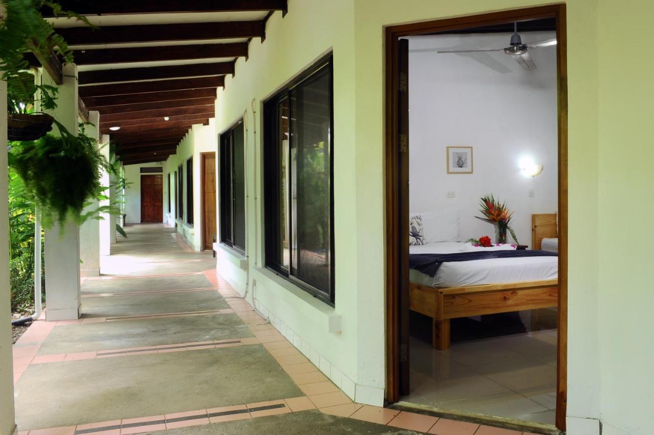 Albergue Wide Mouth Frog Quepos Manuel Antonio Exterior foto