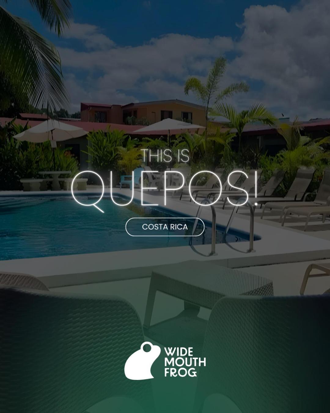 Albergue Wide Mouth Frog Quepos Manuel Antonio Exterior foto