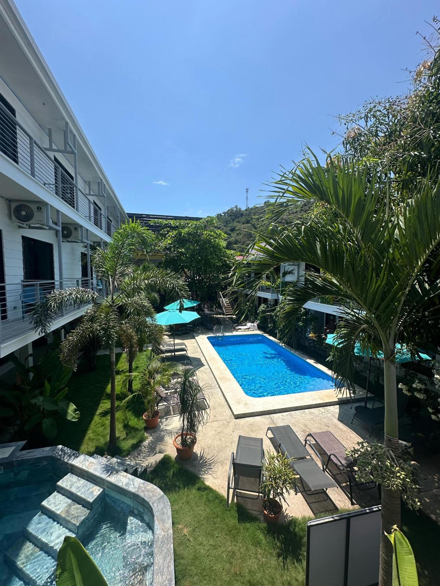 Albergue Wide Mouth Frog Quepos Manuel Antonio Exterior foto
