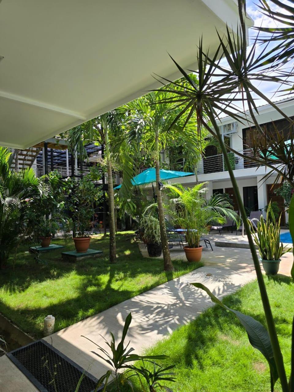 Albergue Wide Mouth Frog Quepos Manuel Antonio Exterior foto
