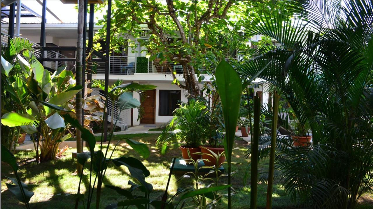 Albergue Wide Mouth Frog Quepos Manuel Antonio Exterior foto