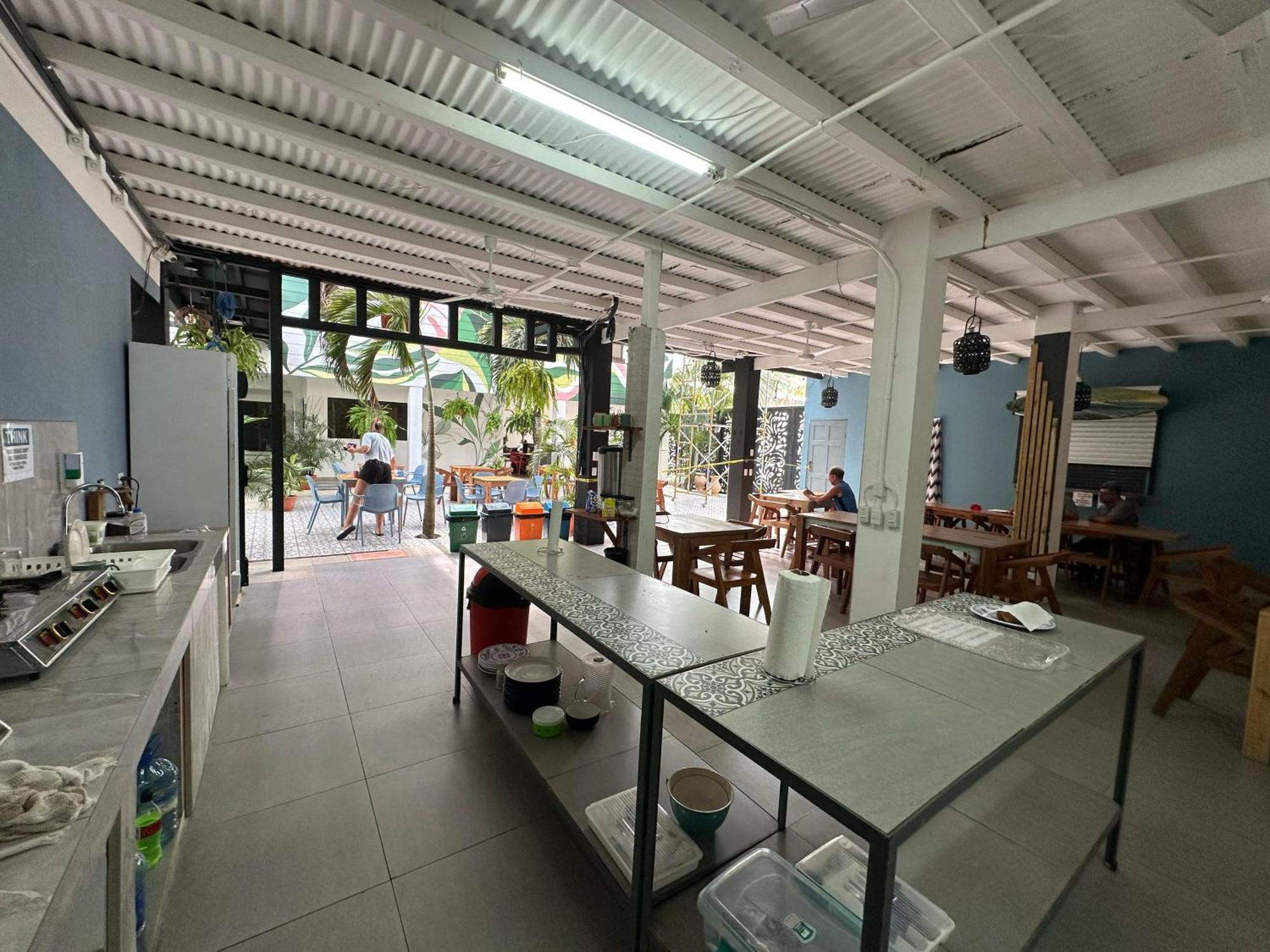 Albergue Wide Mouth Frog Quepos Manuel Antonio Exterior foto