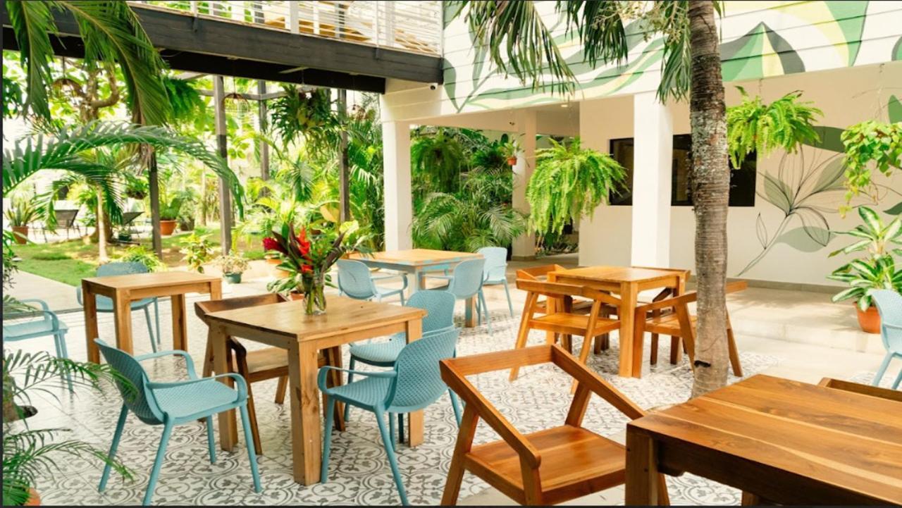 Albergue Wide Mouth Frog Quepos Manuel Antonio Exterior foto