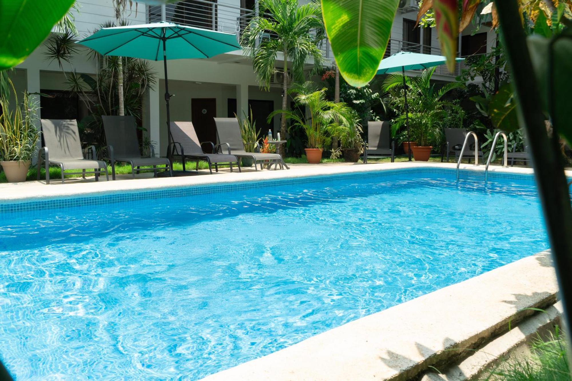 Albergue Wide Mouth Frog Quepos Manuel Antonio Exterior foto