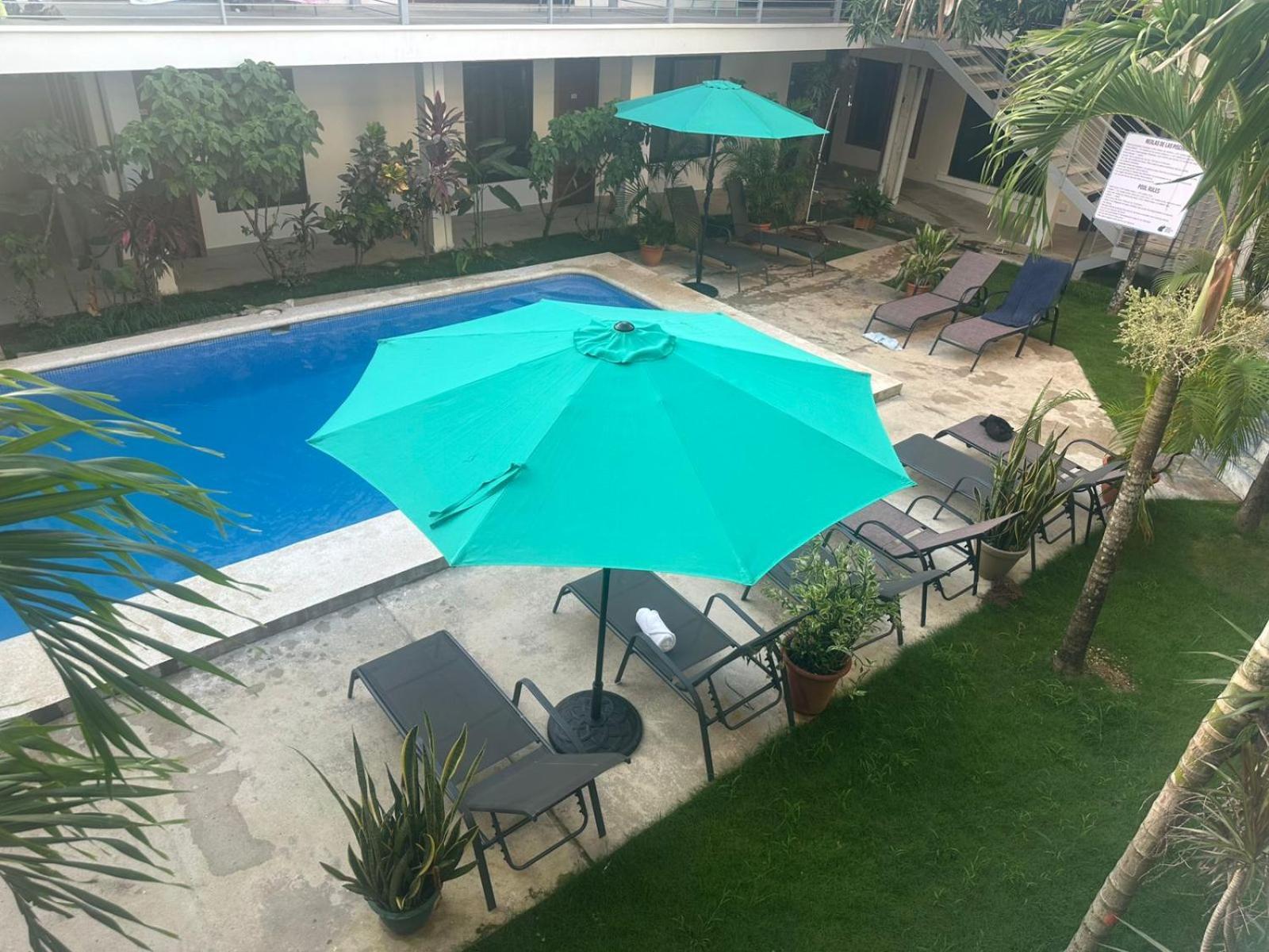 Albergue Wide Mouth Frog Quepos Manuel Antonio Exterior foto