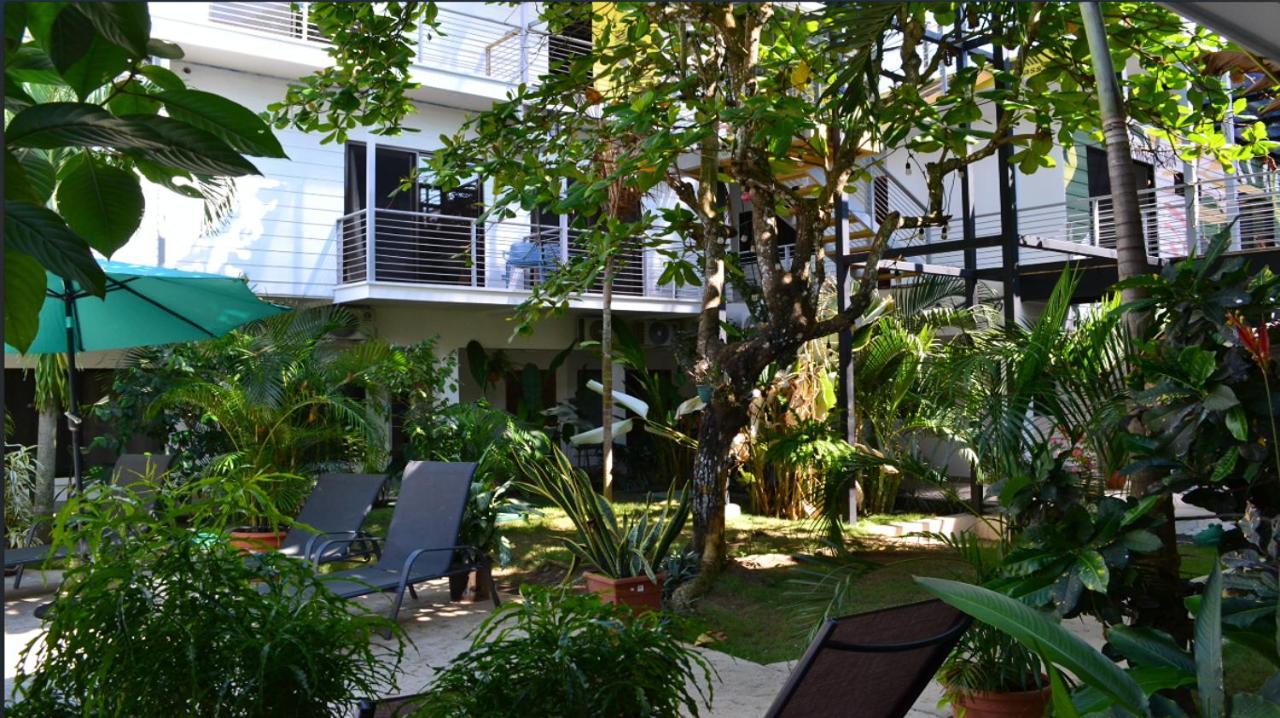 Albergue Wide Mouth Frog Quepos Manuel Antonio Exterior foto