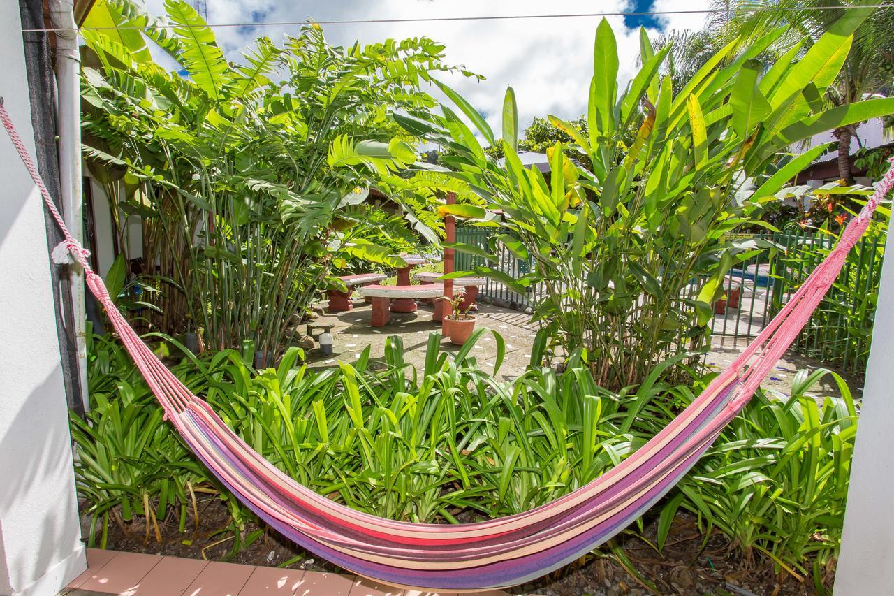 Albergue Wide Mouth Frog Quepos Manuel Antonio Exterior foto